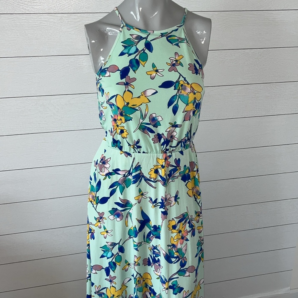 The Limited maxi dress XS - Picture 2 of 6
